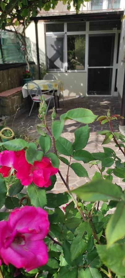 Apartma Marinka 피란 외부 사진