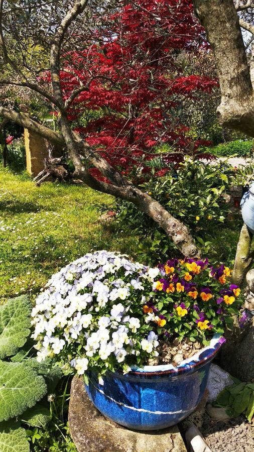 Apartma Marinka 피란 외부 사진